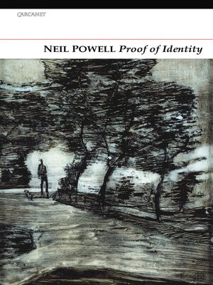 cover image of Proof of Identity